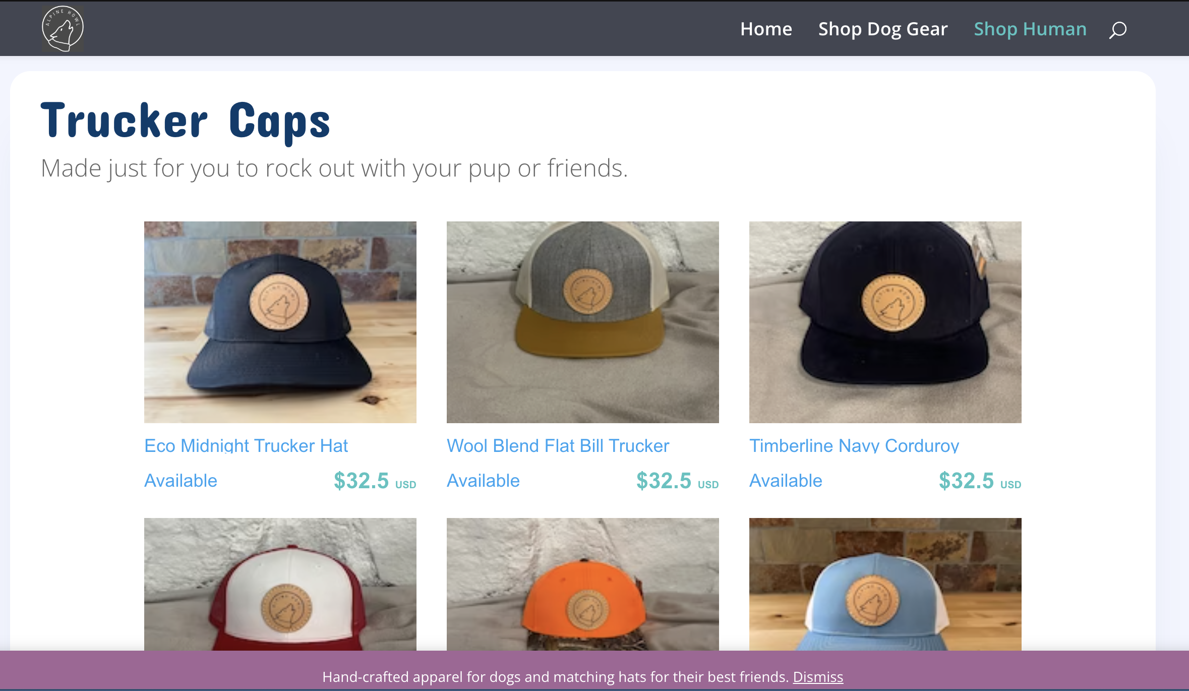 Screenshot 2023-01-12 at 4.50.42 PM